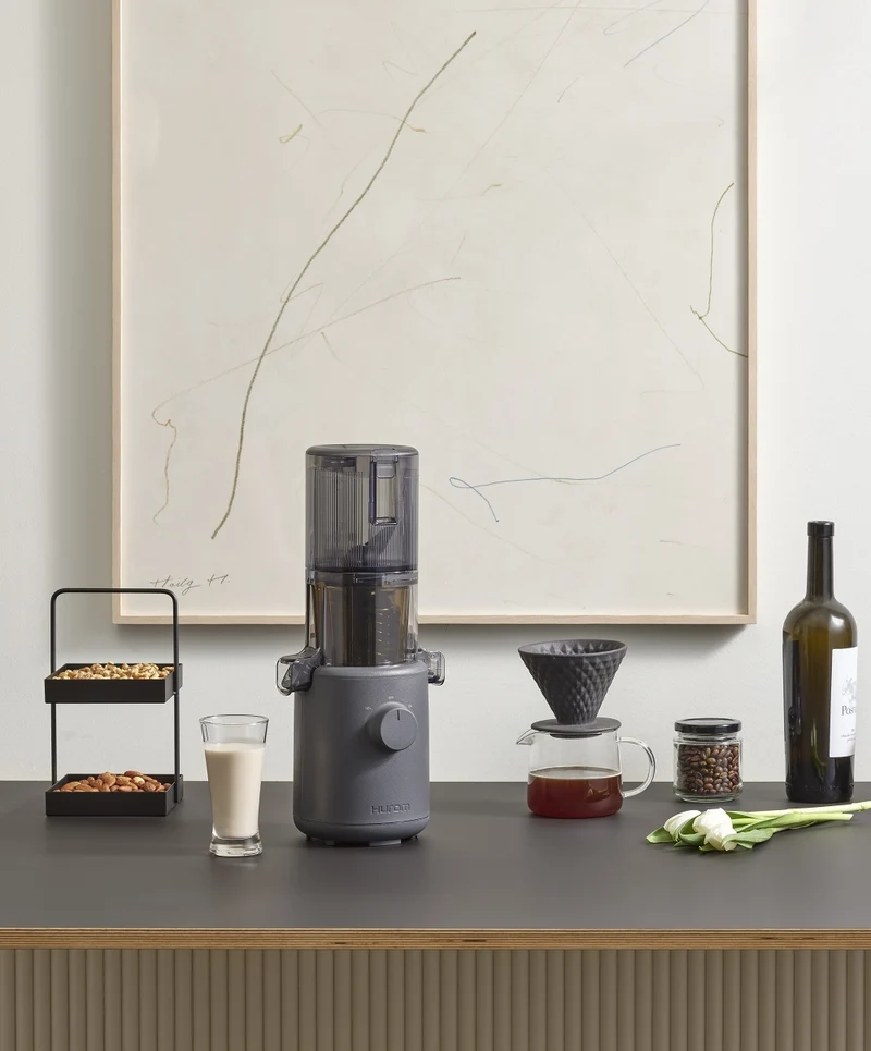 Slow Juicer H310A Hurom (2. Chance)