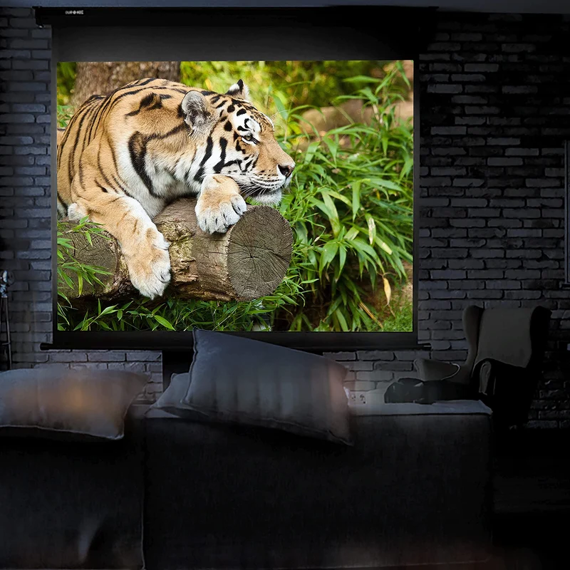 Duronic MPS100 4:3 Leinwand | 100" Zoll Rolloleinwand 203 x 152 cm | Heimkino mit 4K Full HD 3D | Gain 1.0 | Projektionsleinwand für Decken und Wandmontage | Beamerleinwand für Büro und Präsentationen