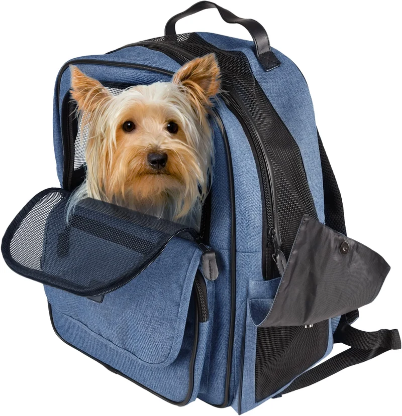 Hunderucksack - Rucksack Wiro Blau – 40x25x41cm – Polyester – Öffnungen vorn/Oben – Abnehmbarer Bode
