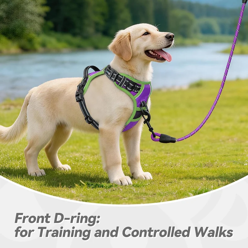 PHOEPET 2019 Anti-Zieh-Hundegeschirr, verbessert, reflektierend, verstellbar, mit Trainingsgriff, 2