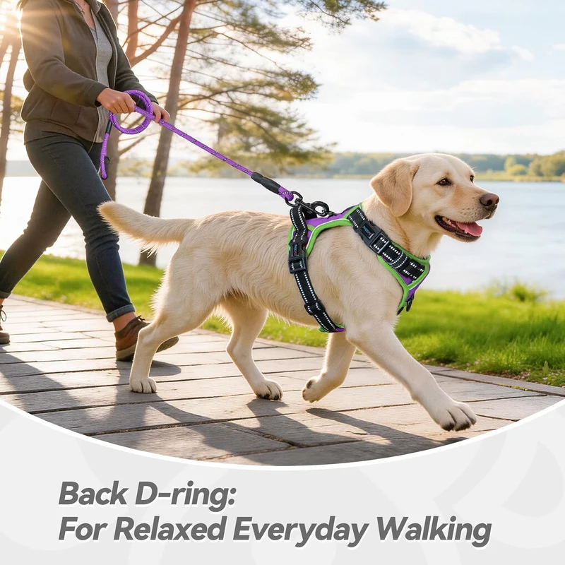 PHOEPET 2019 Anti-Zieh-Hundegeschirr, verbessert, reflektierend, verstellbar, mit Trainingsgriff, 2