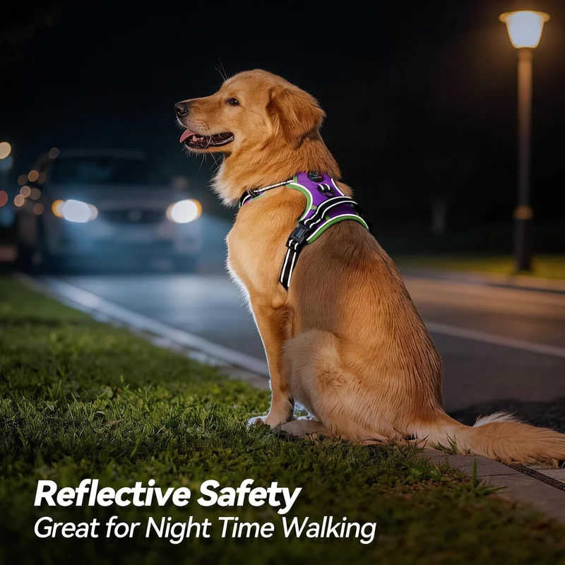 PHOEPET 2019 Anti-Zieh-Hundegeschirr, verbessert, reflektierend, verstellbar, mit Trainingsgriff, 2
