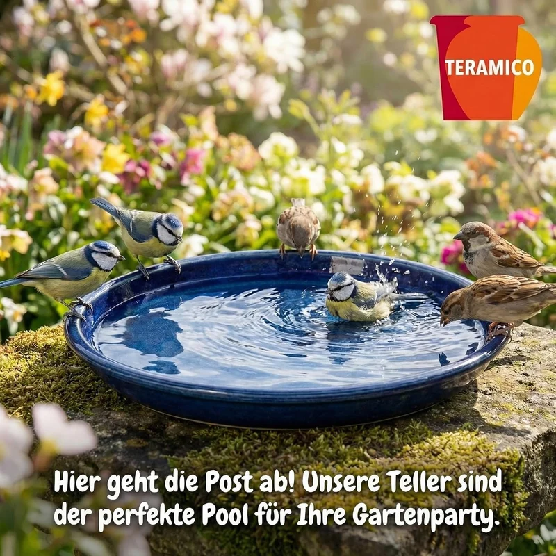 Teramico Vogeltränke/Teller/Untersetzer für Pflanzgefässe Blumentöpfe Blau Weiss Anthrazit glasiert