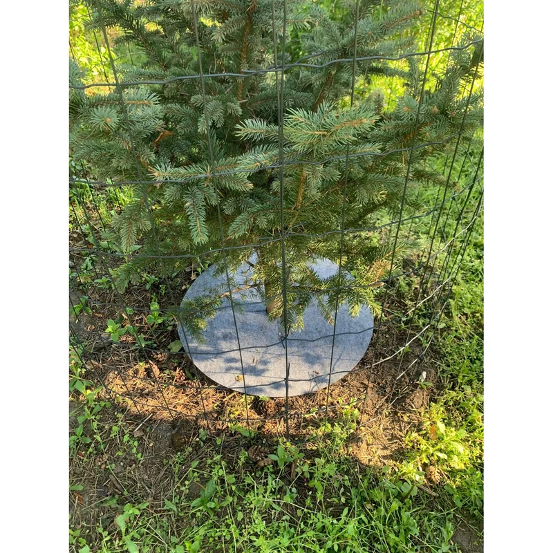 Bertoni anti-weed disc set for garden use, 3 pieces, 60 cm, gray
