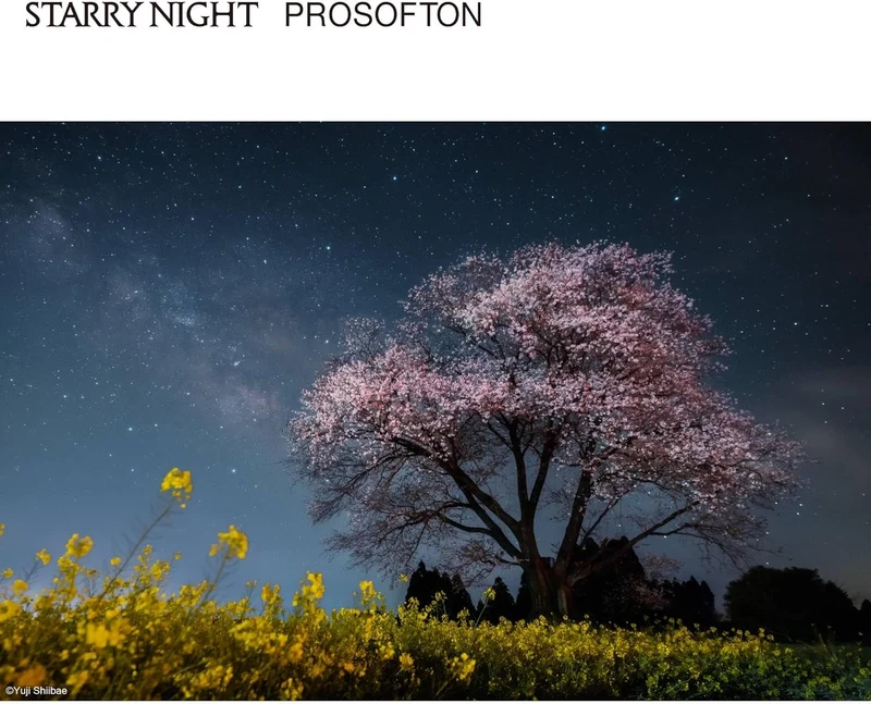 Kenko Effektfilter Starry Night Prosofton φ62mm, Reduzierung der Lichtverschmutzung & weicher Effekt