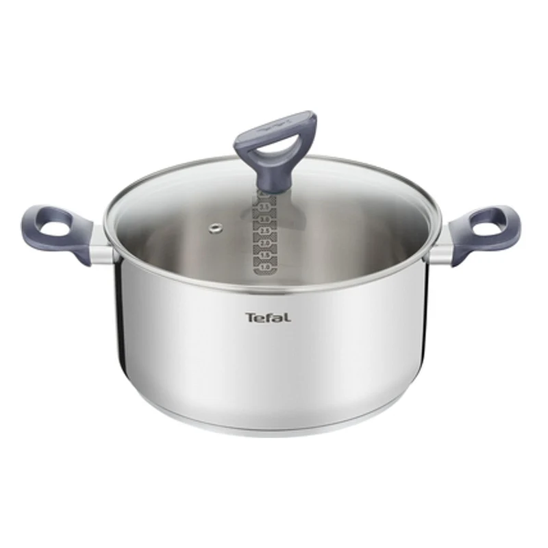 Tefal G71244 Kochtopf 20cm mit Glasdeckel