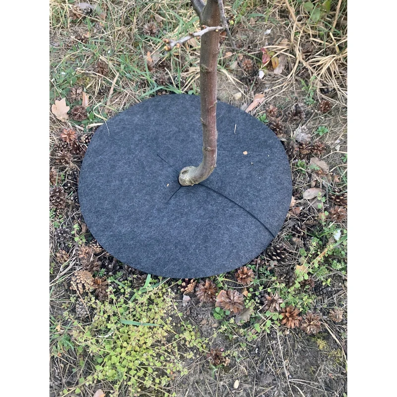 Bertoni anti-weed disc set to use in the garden, 6 pieces, 40 cm, gray