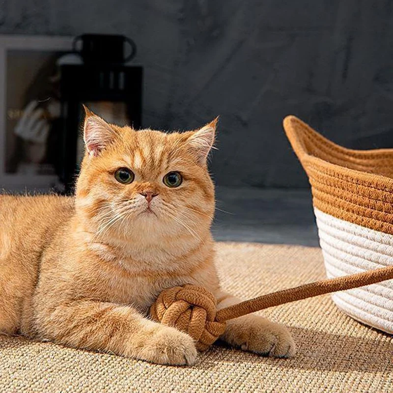 Handgewebtes Katzenbett, Verschleissfestes Katzenbett Katzen Schreibtischkorb Mit Niedlichem Ohr Kat