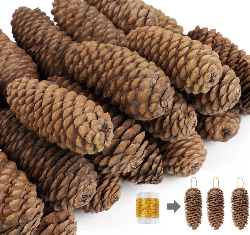Tannenzapfen Deko, 20 Stück ﻿10-14cm Tannenzapfen Gross Weihnachten Tannenzapfen Natürliche Thanksgi