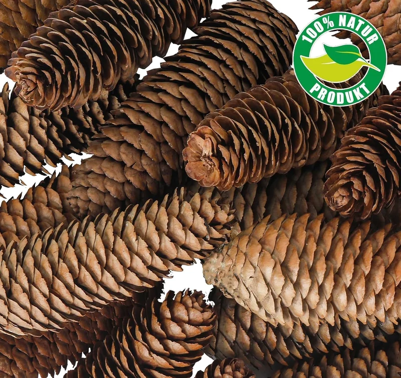 Tannenzapfen Deko, 20 Stück ﻿10-14cm Tannenzapfen Gross Weihnachten Tannenzapfen Natürliche Thanksgi
