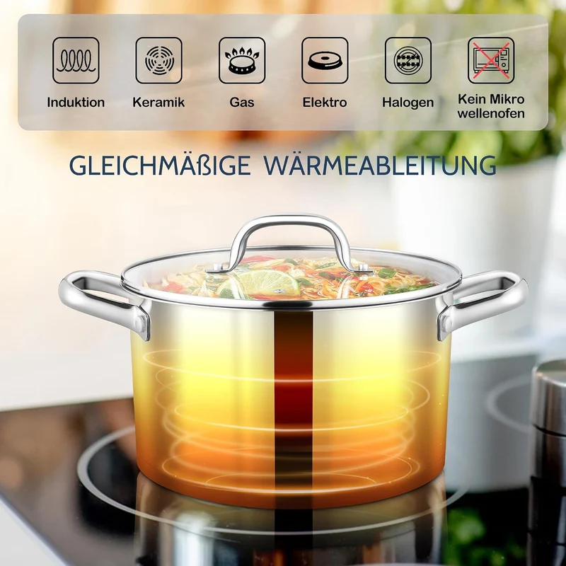 Joyfair 20cm Kochtopf, 3-Lagiger Boden Edelstahl Topf mit Glasdeckel, Suppentopf Induktion für alle
