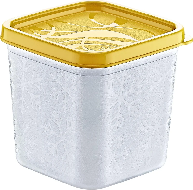 Annastore 12 x hochwertige Tiefkühldosen von -20°C bis + 100°C - Gefrierdosen - Luftdicht - Tiefkühl
