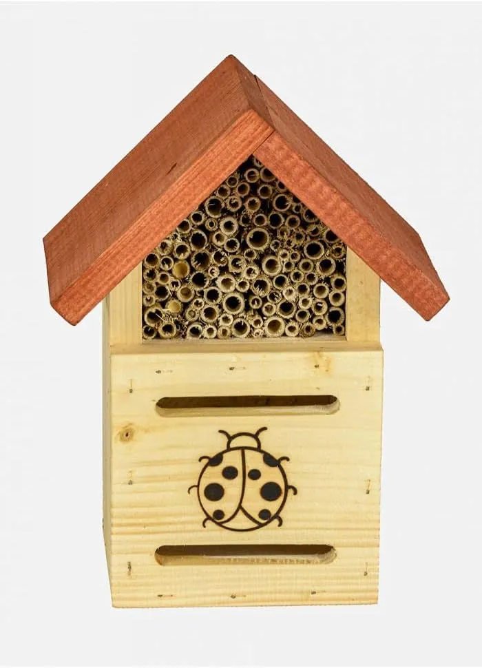 Insektenotel Für Marienkäfer MKW 2IN1