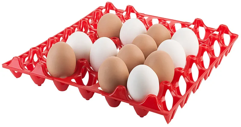Eierspender Eierbox Tablett für 30 Eier