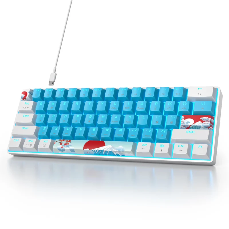 SOLIDEE mechanische Gaming Tastatur 60 Prozent,61 Tasten kompakte mechanische Tastatur RGB Hintergru