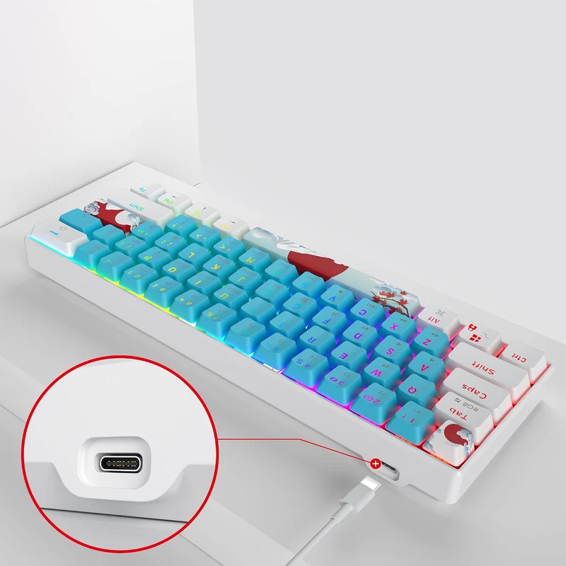 SOLIDEE mechanische Gaming Tastatur 60 Prozent,61 Tasten kompakte mechanische Tastatur RGB Hintergru