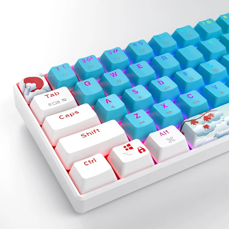 SOLIDEE mechanische Gaming Tastatur 60 Prozent,61 Tasten kompakte mechanische Tastatur RGB Hintergru