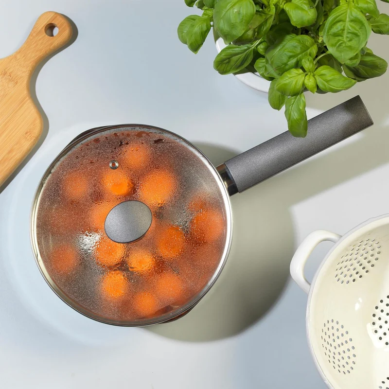 Russell Hobbs RH01163EU Excellence 18cm stieltopf mit deckel, 2L Kochtopf stieltopf mit Glasdeckel,