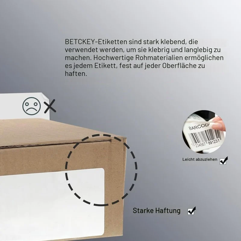 BETCKEY - 25mm x 13mm(1 in x 0,5 in) Perforierte Kleine Thermoetiketten Kompatibel mit Zebra und wei