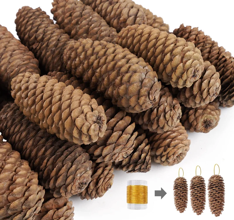 Homewit Lange Tannenzapfen, 30 Stück Pinus Maritima Zapfen - 6-8cm Natur Tanne Naturzapfen, Natur Pi