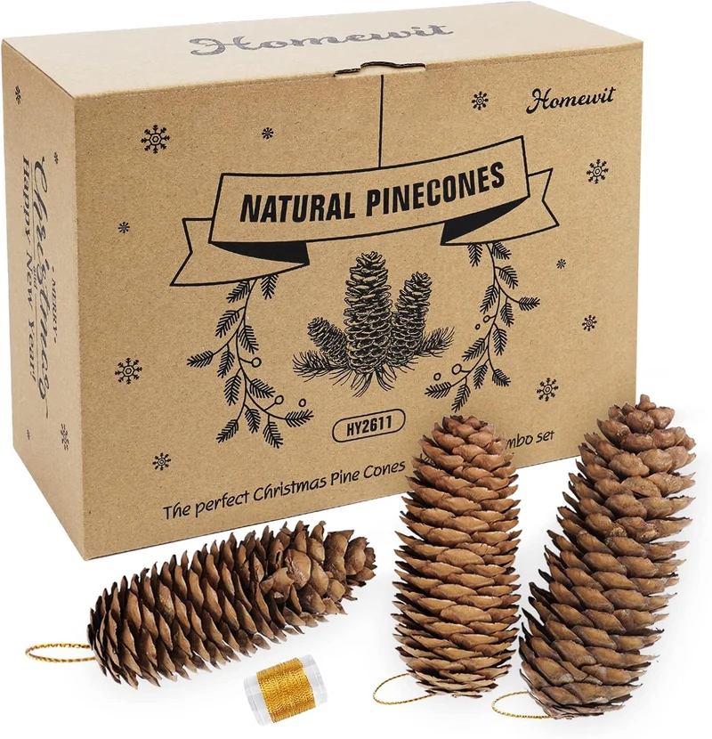 Homewit Lange Tannenzapfen, 30 Stück Pinus Maritima Zapfen - 6-8cm Natur Tanne Naturzapfen, Natur Pi