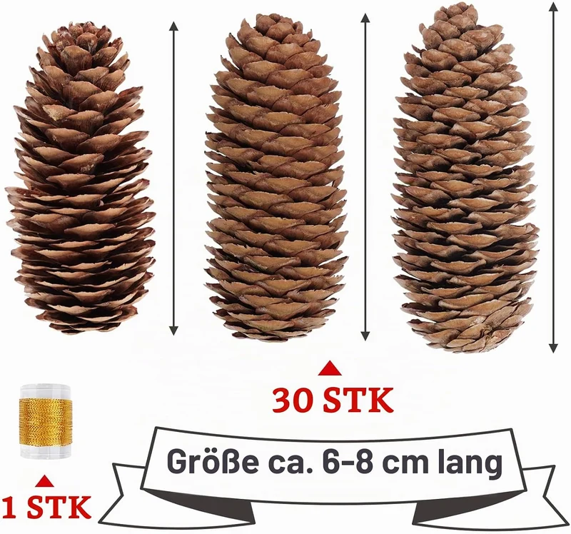 Homewit Lange Tannenzapfen, 30 Stück Pinus Maritima Zapfen - 6-8cm Natur Tanne Naturzapfen, Natur Pi