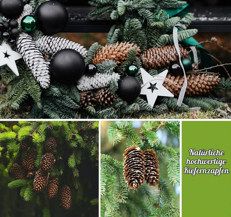 Homewit Lange Tannenzapfen, 30 Stück Pinus Maritima Zapfen - 6-8cm Natur Tanne Naturzapfen, Natur Pi