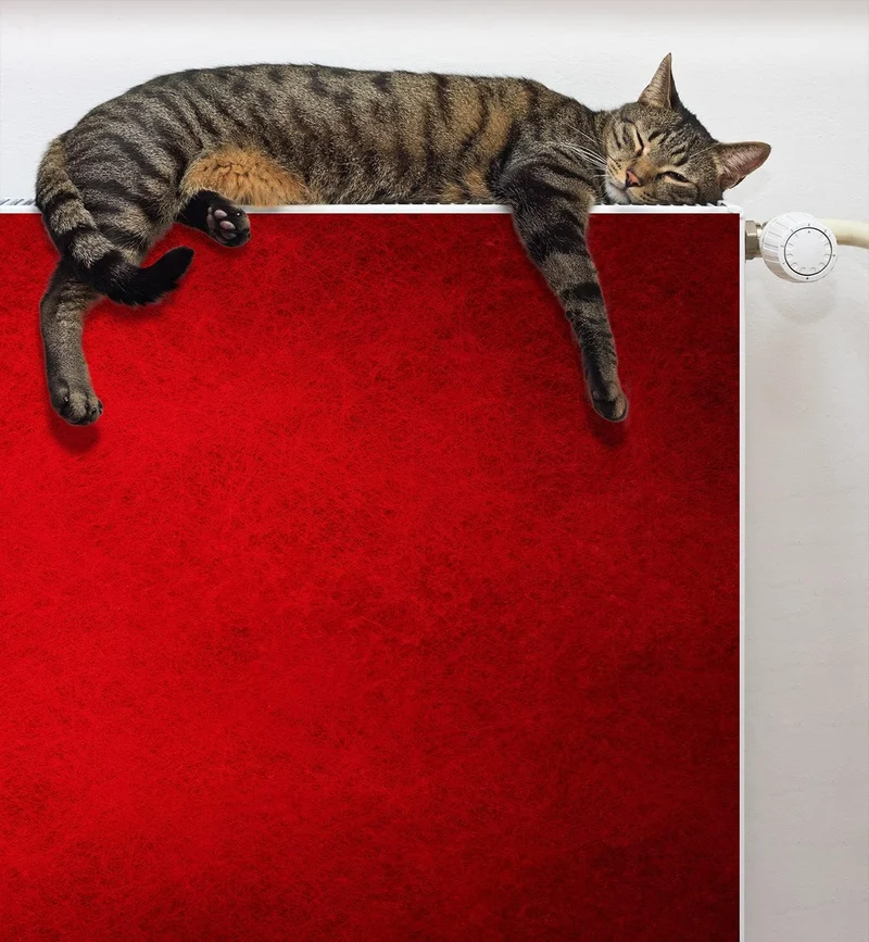 DarHaus Magnet Heizkörperverkleidung Heizkörperabdeckung Heizung Schutz, 140x60 Motiv ROT 140x60 cm,