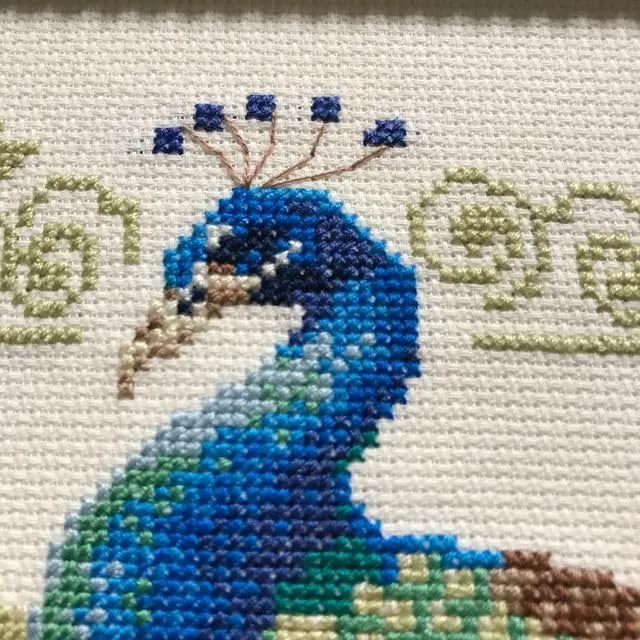 Riolis Kreuzstich-Set, Motiv: The Peacocks, Kreuzstich, Weiss
