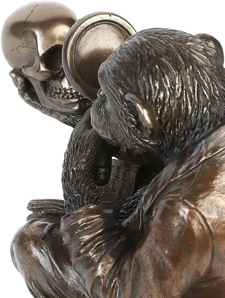 Nemesis Now Darwinism of Evolutionary Theory Box, Bronze, Harz, 17,5 cm