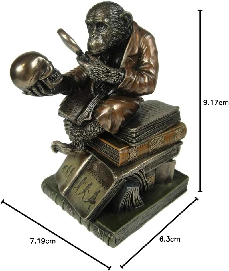 Nemesis Now Darwinism of Evolutionary Theory Box, Bronze, Harz, 17,5 cm