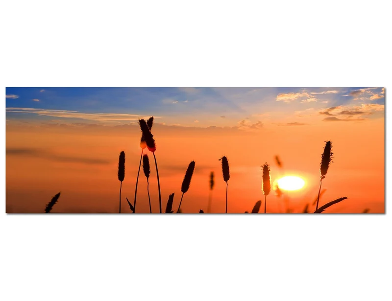 Paul Sinus Art Panoramabild auf Leinwand und Keilrahmen 120x40cm Getreide Feld Sommer Sonnenuntergan